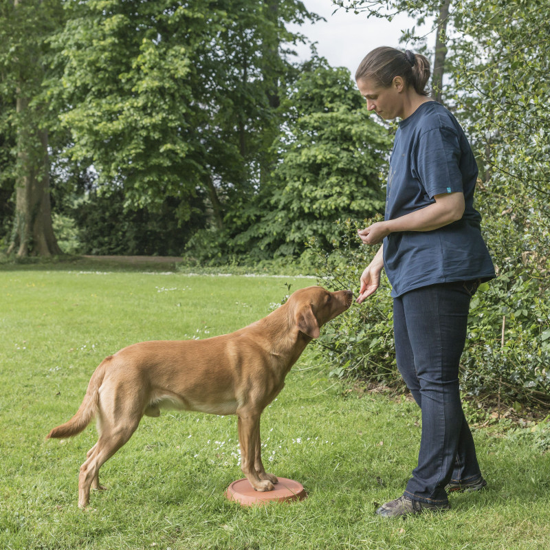 Themenstunde - Target Training