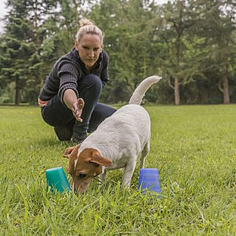 Krimitour – Schnüffeldetektive unterwegs!
