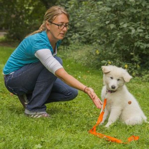 Welpenkurs (Donnerstag 17:00 Uhr) / Januar 2026