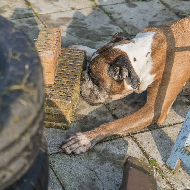 Themenstunde - Suche nach klein(st)en Gegenständen