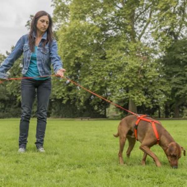 Themenstunde Fährtentraining / Mai 2026