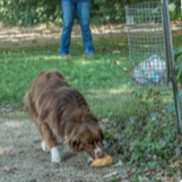 Giftköder verweigern (Freitag 19:00 Uhr) / Februar 2026