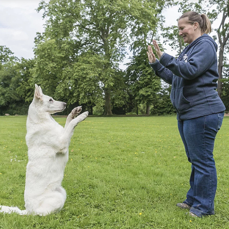 Themenstunde - Mach es mir nach! - Do as I do!