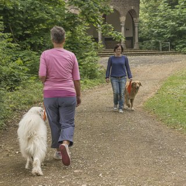 Social Walk - einzeln buchbar