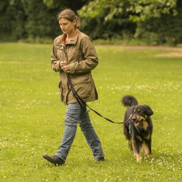 Leinenführigkeit (Freitag 17:00 Uhr) / Mai 2026