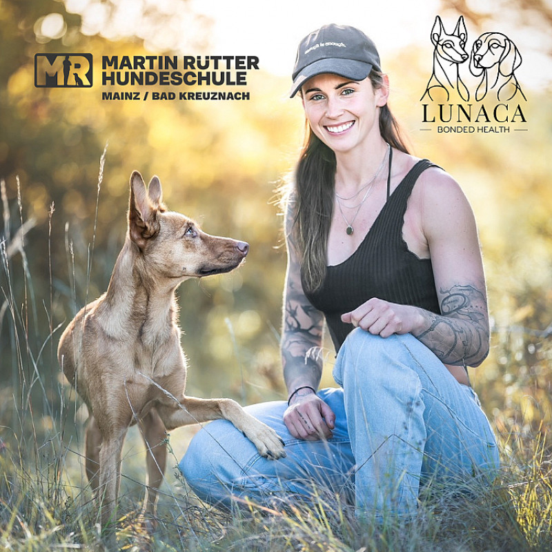 Webinar Hundeernährung verstehen