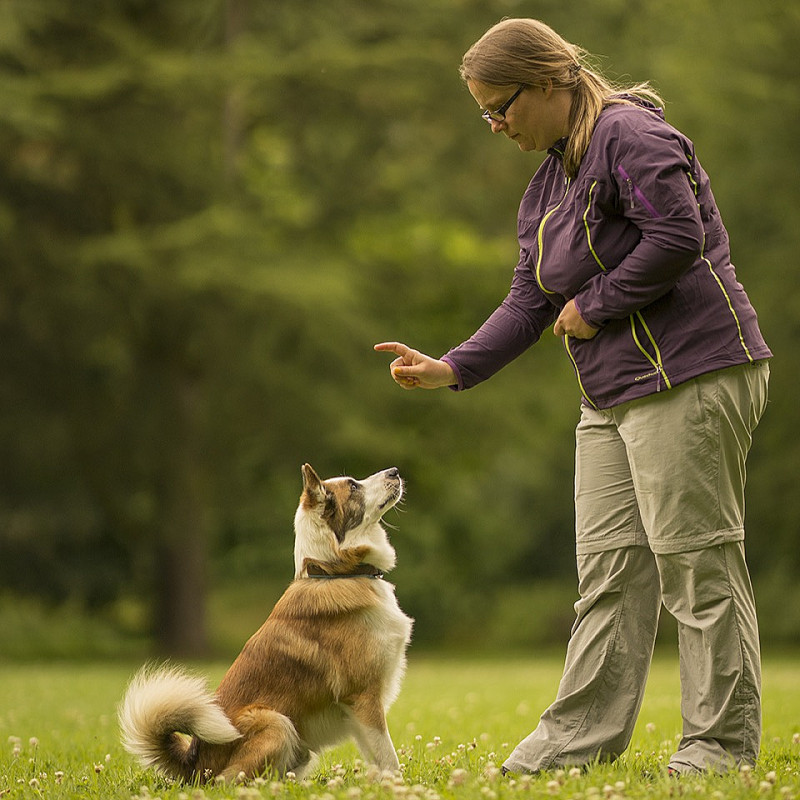 Einzeltraining in Gensingen