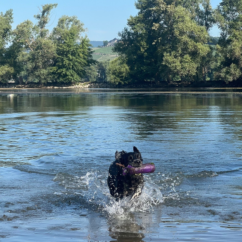 Training am Wasser