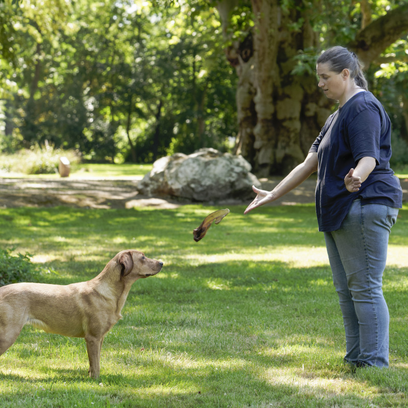 Impulskontrolle Minikurs
