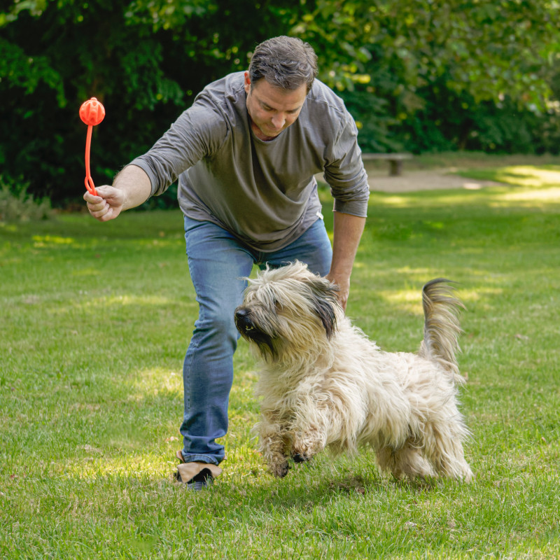 Kreative Beschäftigung für Hunde