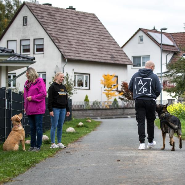 Spaziergang mit Begegnungstraining – 'Social Walk'