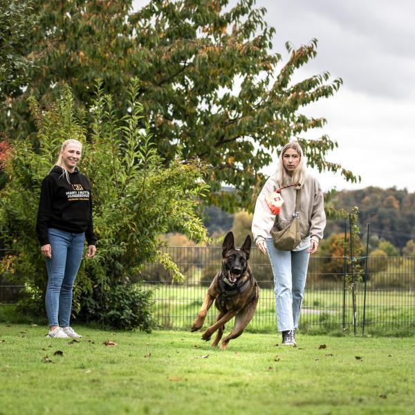 Gruppentraining in Dillenburg / Haiger