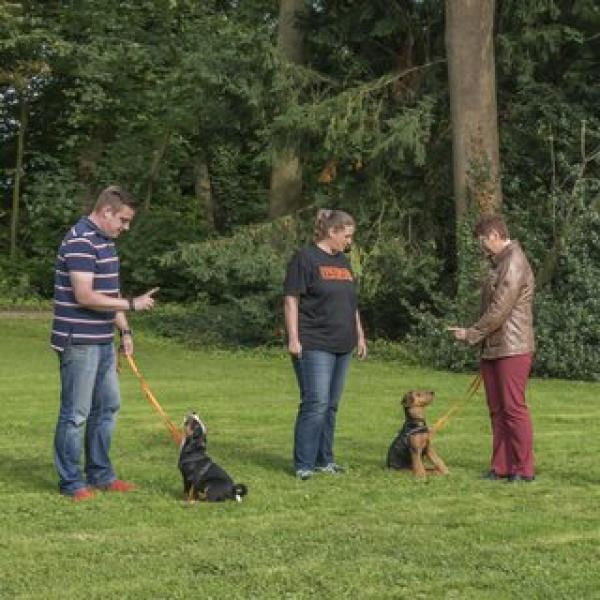 Welpenkurs Wels