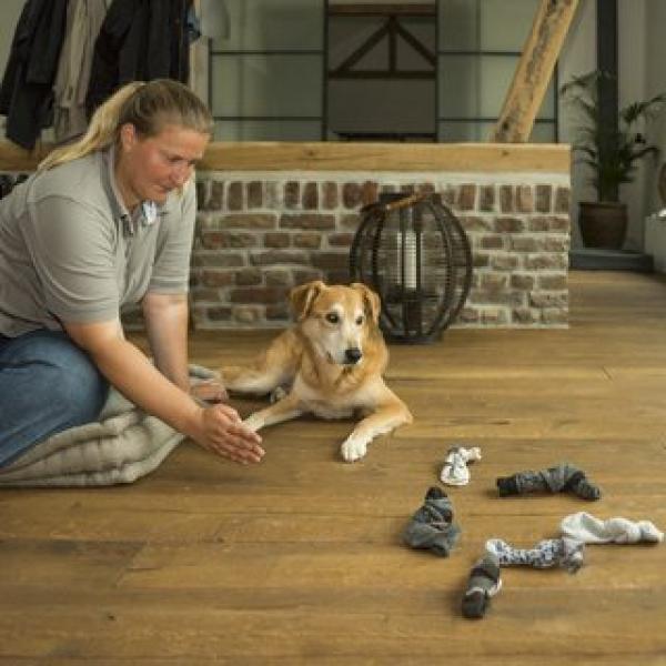 Beschäftigung im Haus