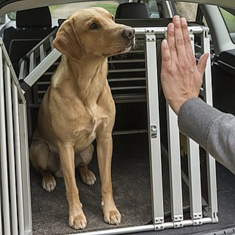 Autofahren ohne Probleme – Training rund ums Auto