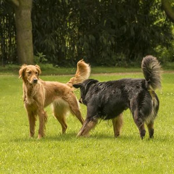 Körpersprache und Kommunikation - aktiv