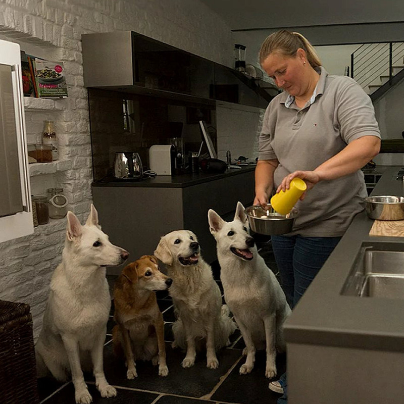 Trainingsstunde für Mehrhundehaltende