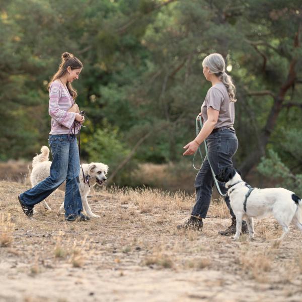 Spaziergang mit Begegnungstraining - Social Walk