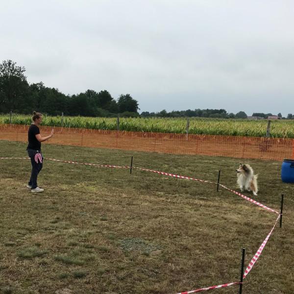 Distanztraining Kurs