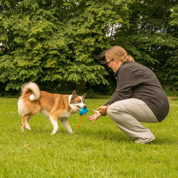 Apportieren - Kurs - Einsteiger