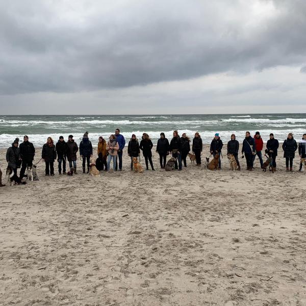 Neujahrswanderung 2026