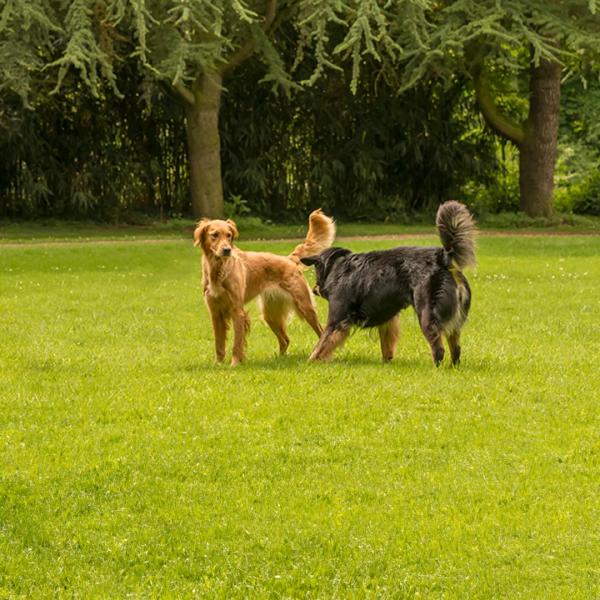 Körpersprache und Kommunikation - Seminar