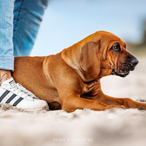 Themenstunden in Bützow