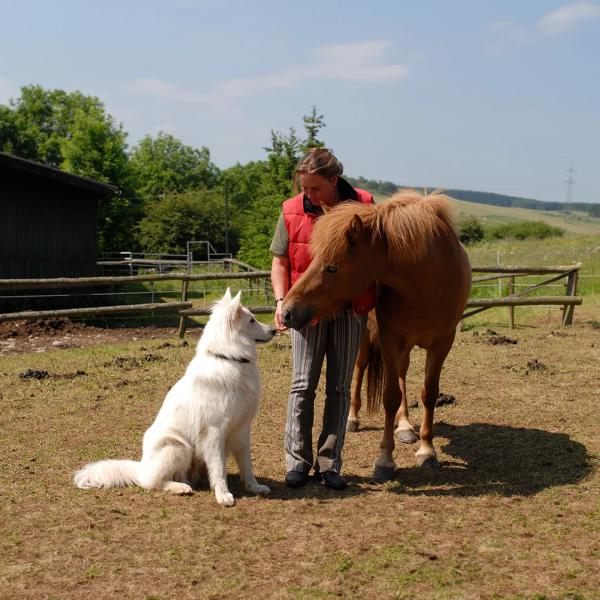 Social Walk mit Pferd und Hund