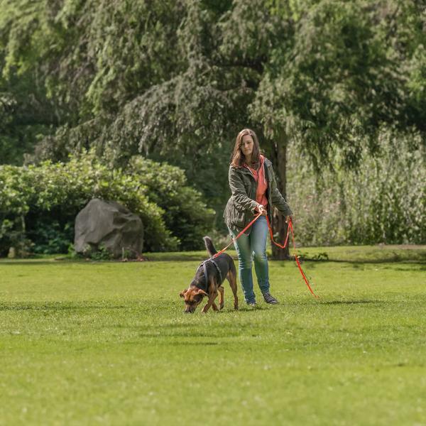 Silvesterfit mit Hund