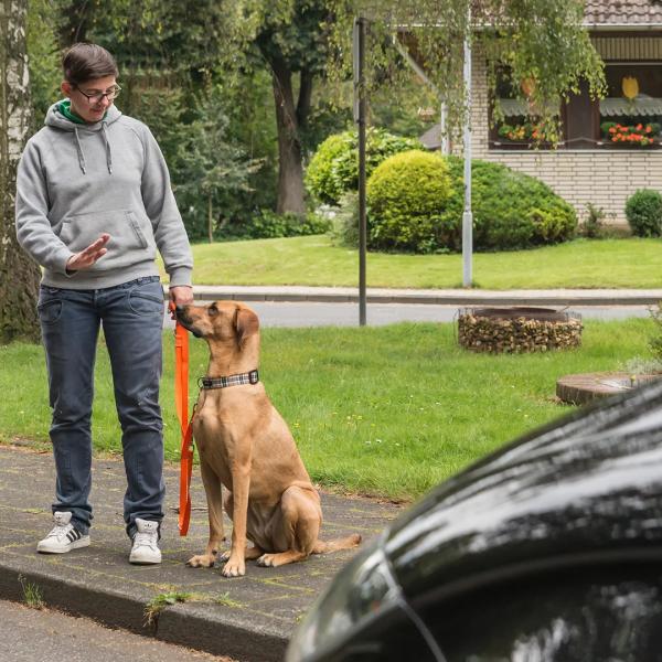 Stadttraining in Rostock