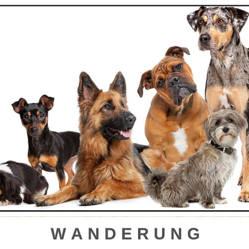Hundewanderung