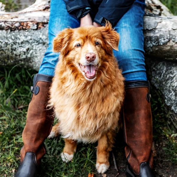 Themenstunden in Rothenkirchen