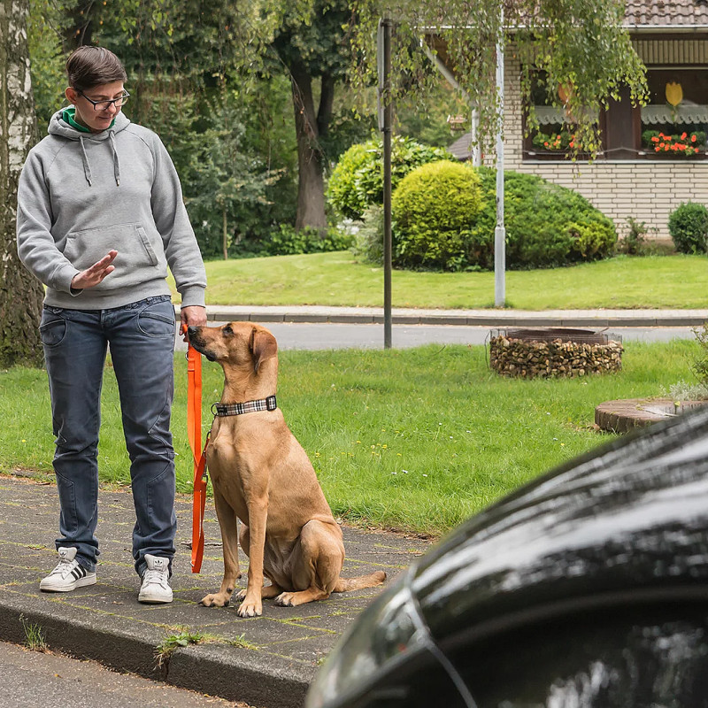 Social Walk mit Restaurantbesuch