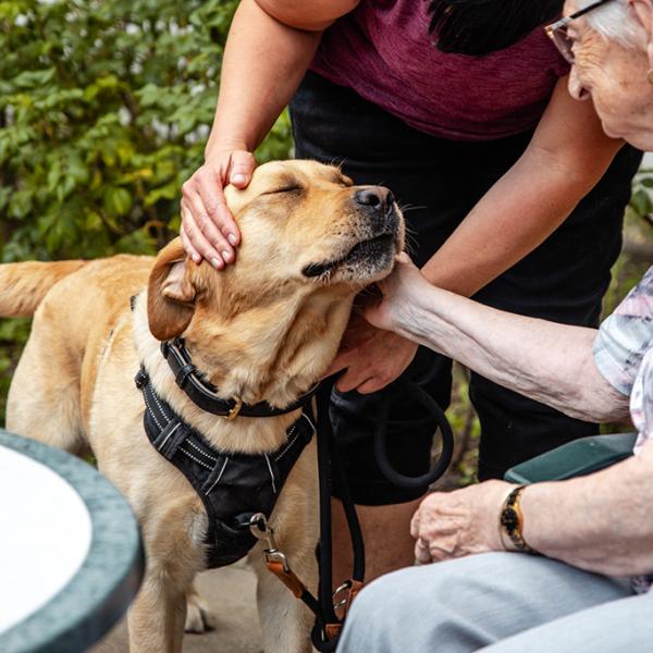 Informationsveranstaltung