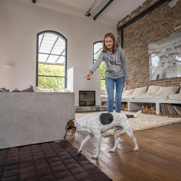 Alltagstraining – Erziehung für jeden Tag