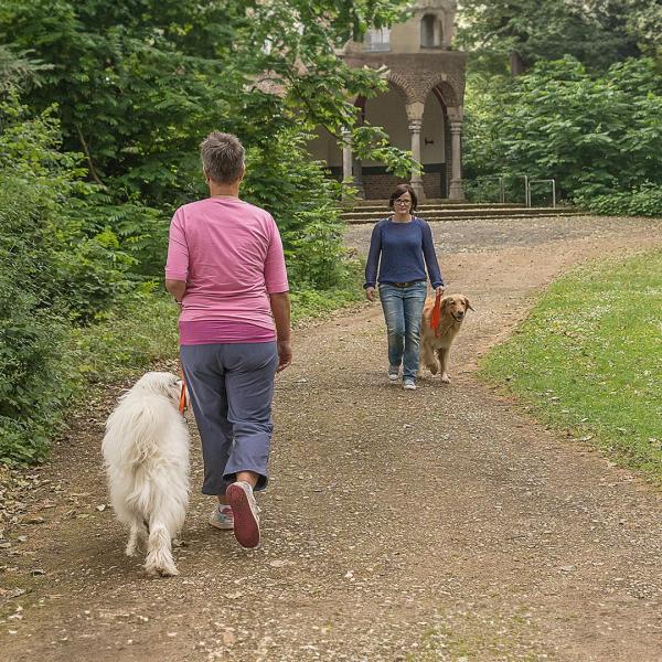 Spaziergang mit Begegnungstraining – 'Social Walk' (Sonntag)