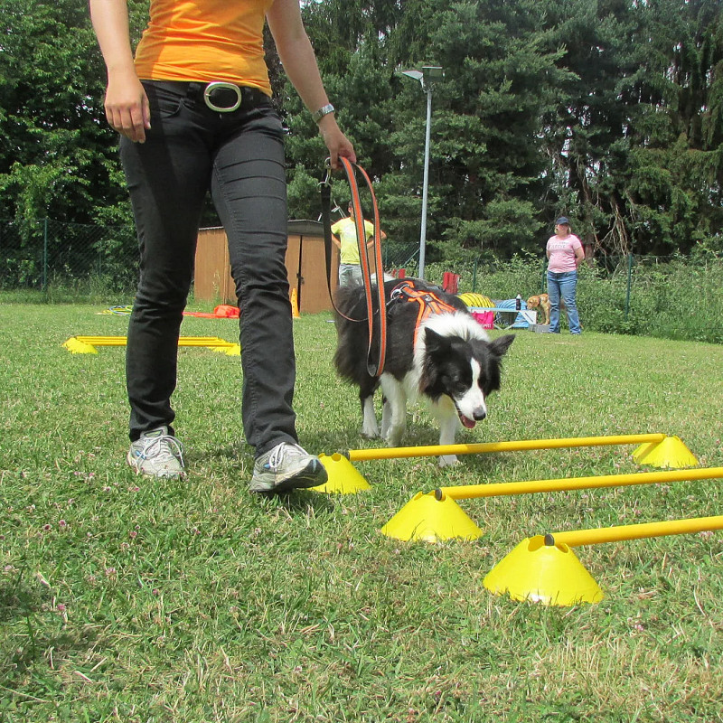 Cavaletti (Start 14.07.2026)