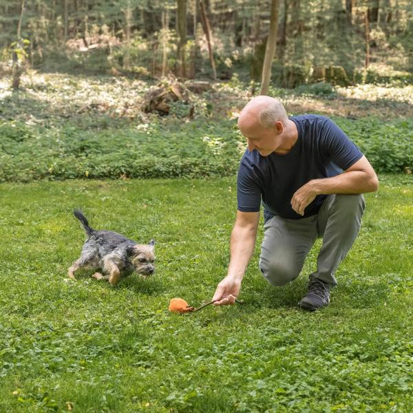 Kleiner Hund - groß im Training!