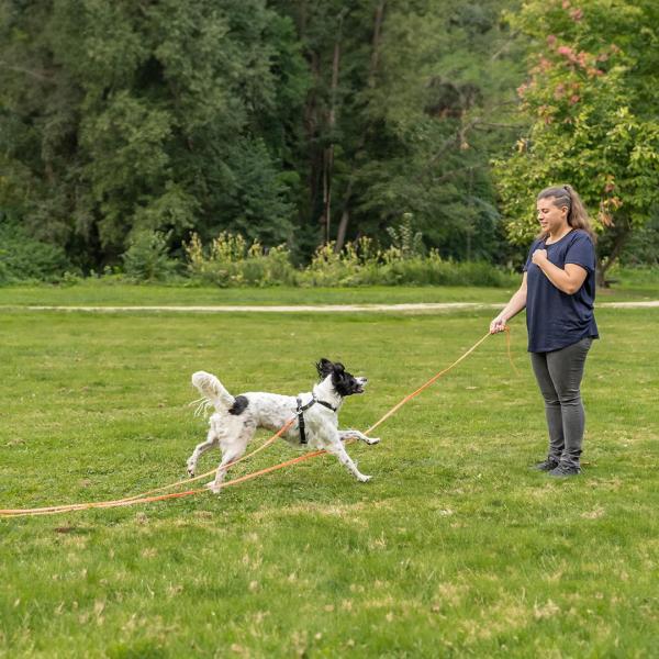 Rückruftraining Start 24.01.2026