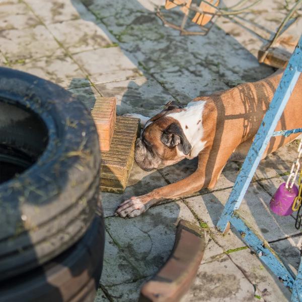 Suche nach klein(st)en Gegenständen