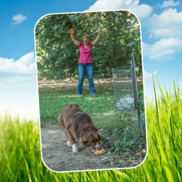 Giftköder verweigern