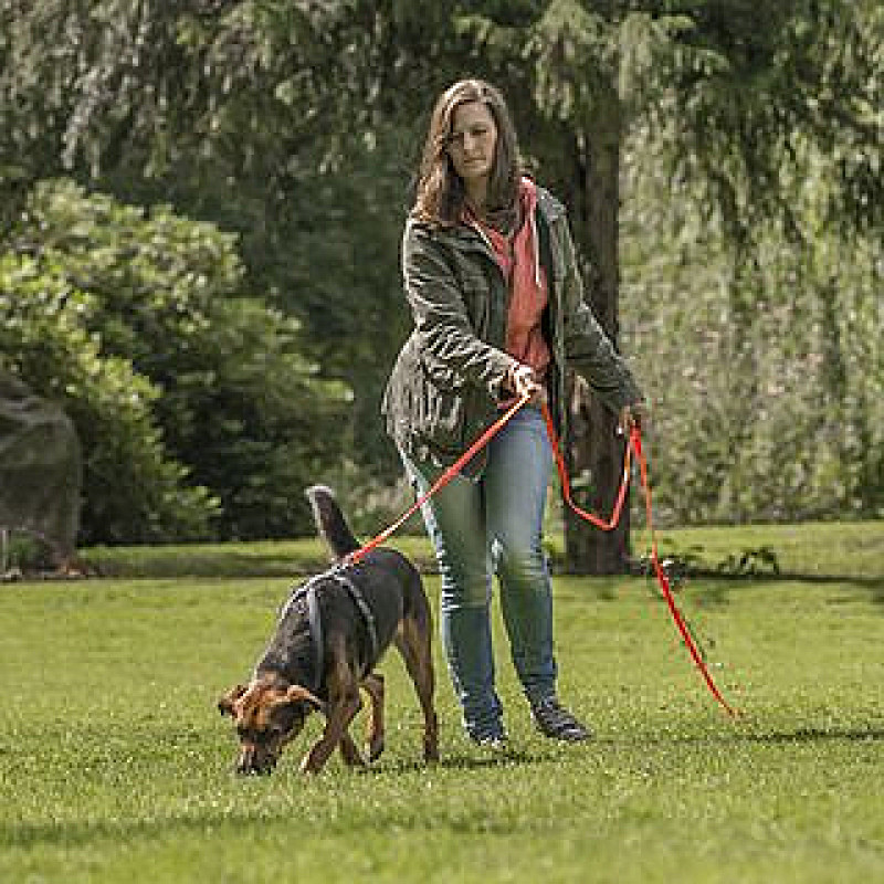 Workshop Mantrailing