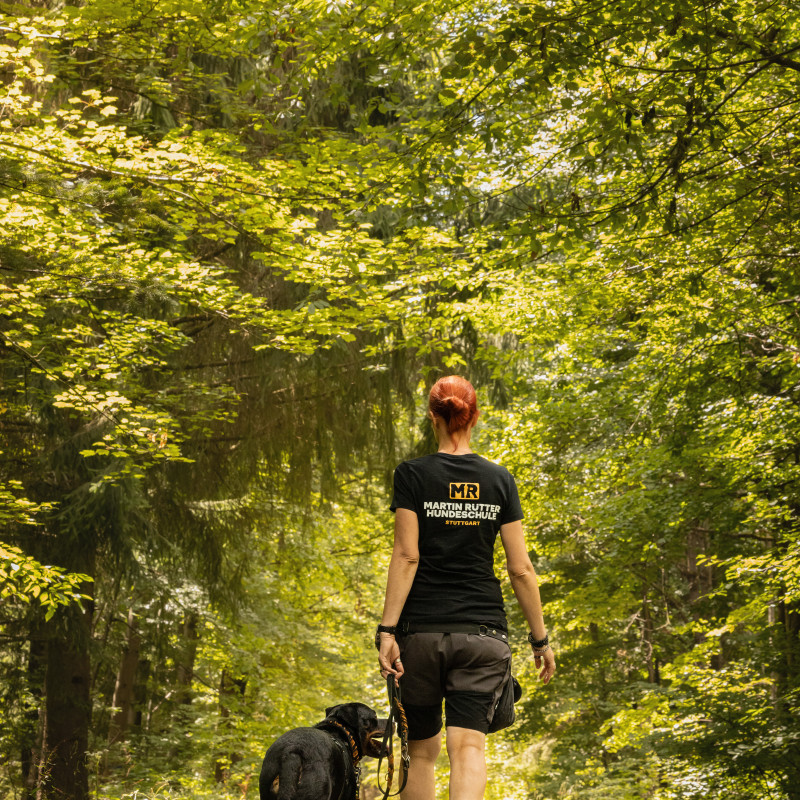 Leinenführigkeitskurs