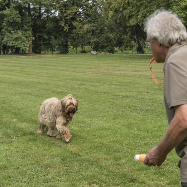 Rückruftraining 1.0