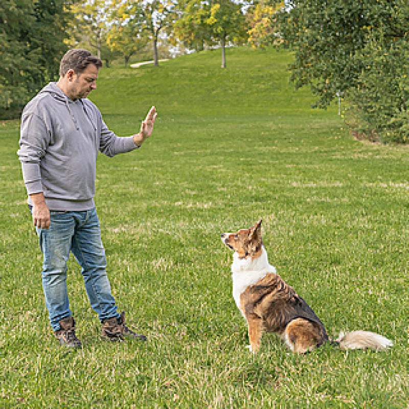 Themenstunde Stille Stunde