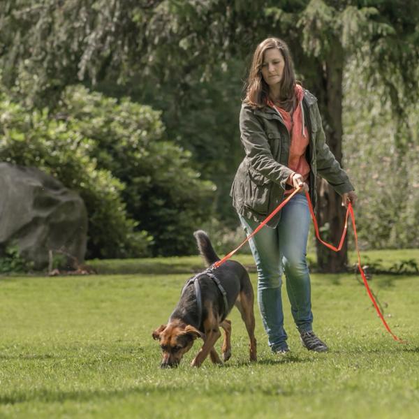 Mantrailing als Freizeitbeschäftigung