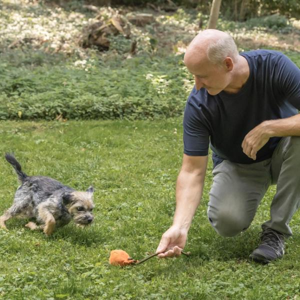 Kleiner Hund - groß im Training!
