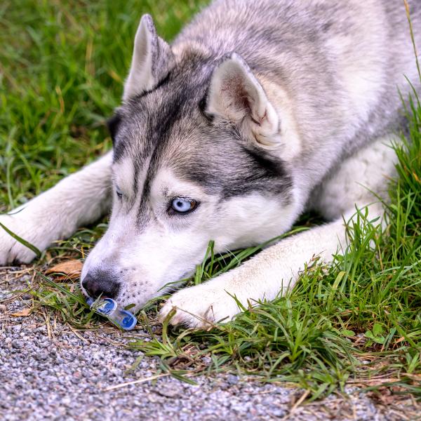 Suche nach klein(st)en Gegenständen
