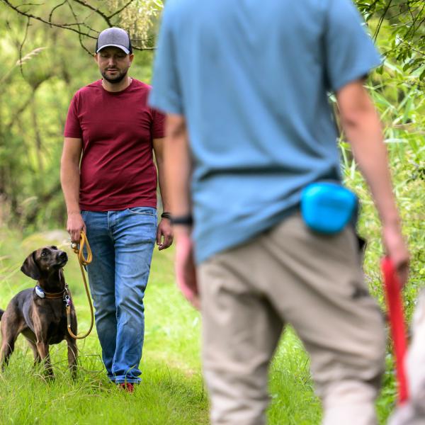 Spaziergang mit Begegnungstraining - "Social Walk"