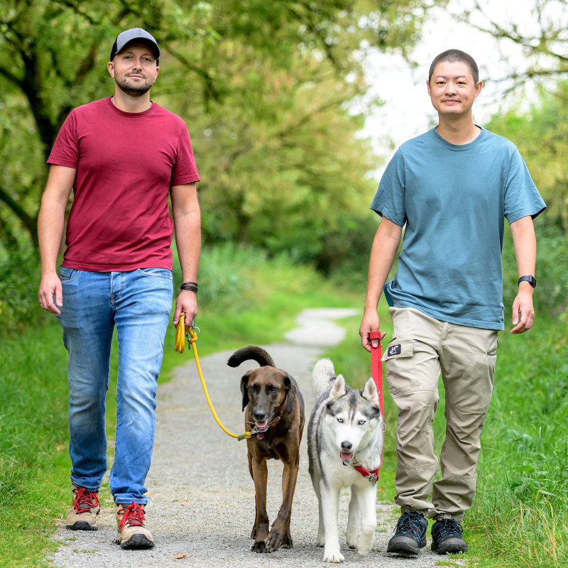 Alltagstraining Nähe Heppenheim